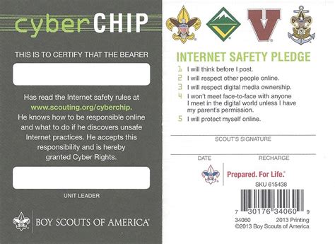 bsa cyber chip green card